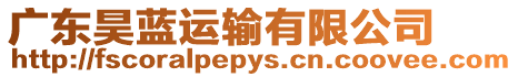 廣東昊藍運輸有限公司