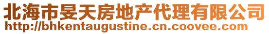 北海市旻天房地產代理有限公司