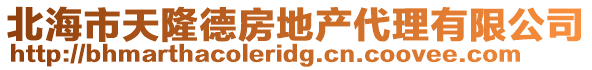 北海市天隆德房地產代理有限公司
