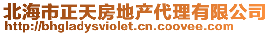 北海市正天房地產代理有限公司