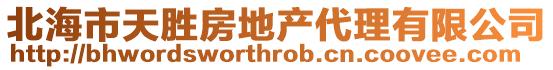 北海市天勝房地產代理有限公司