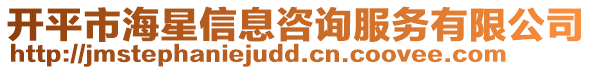 開平市海星信息咨詢服務有限公司