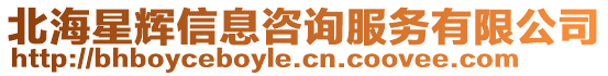 北海星輝信息咨詢服務有限公司