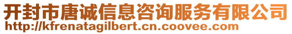 开封市唐诚信息咨询服务有限公司