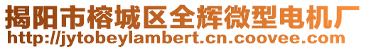 揭陽(yáng)市榕城區(qū)全輝微型電機(jī)廠