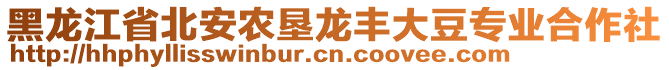 黑龍江省北安農(nóng)墾龍豐大豆專業(yè)合作社