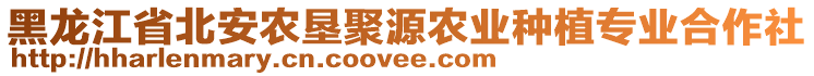 黑龍江省北安農(nóng)墾聚源農(nóng)業(yè)種植專業(yè)合作社