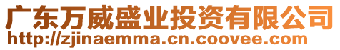 廣東萬威盛業(yè)投資有限公司