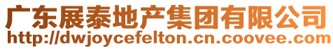 廣東展泰地產集團有限公司