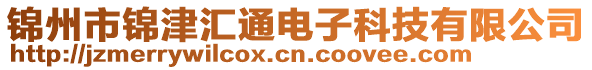 锦州市锦津汇通电子科技有限公司