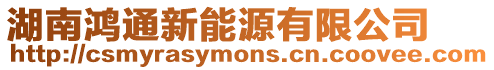 湖南鴻通新能源有限公司