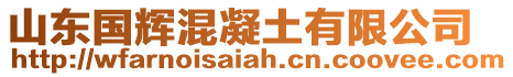 山東國輝混凝土有限公司