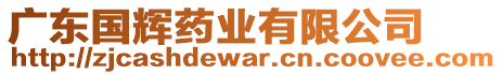 廣東國(guó)輝藥業(yè)有限公司