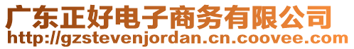 廣東正好電子商務有限公司