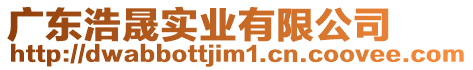 廣東浩晟實業(yè)有限公司