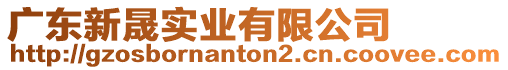 廣東新晟實業有限公司