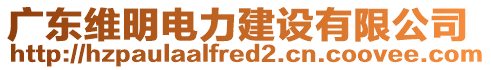 廣東維明電力建設有限公司