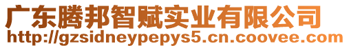 廣東騰邦智賦實業有限公司