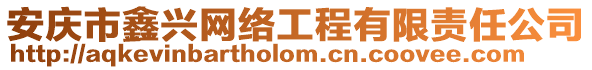 安慶市鑫興網絡工程有限責任公司