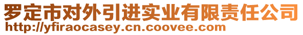 羅定市對外引進實業有限責任公司