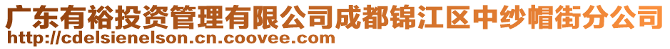 廣東有裕投資管理有限公司成都錦江區(qū)中紗帽街分公司