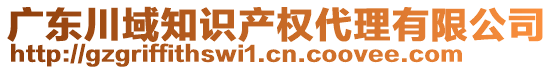 廣東川域知識(shí)產(chǎn)權(quán)代理有限公司