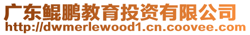 廣東鯤鵬教育投資有限公司