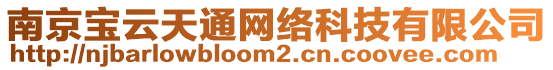 南京寶云天通網(wǎng)絡(luò)科技有限公司