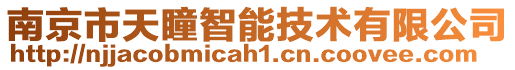 南京市天瞳智能技術有限公司
