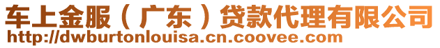 車上金服(廣東)貸款代理有限公司