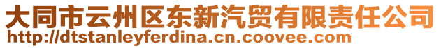 大同市云州區東新汽貿有限責任公司