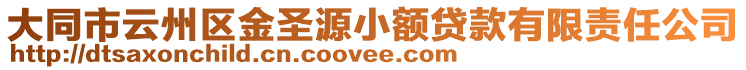 大同市云州區金圣源小額貸款有限責任公司