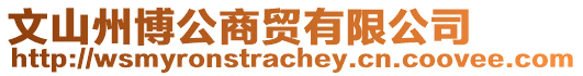文山州博公商貿有限公司