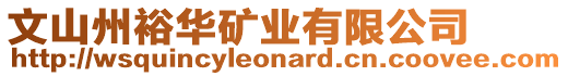 文山州裕華礦業有限公司
