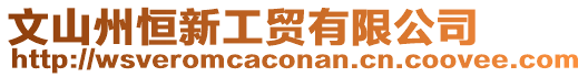 文山州恒新工貿有限公司