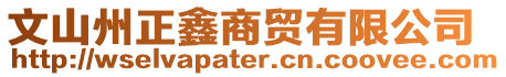 文山州正鑫商貿有限公司