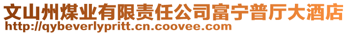 文山州煤業有限責任公司富寧普廳大酒店