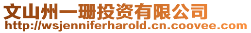 文山州一珊投資有限公司
