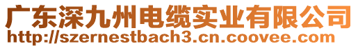 廣東深九州電纜實(shí)業(yè)有限公司