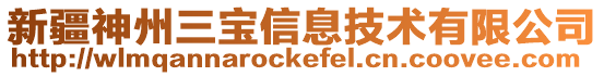 新疆神州三寶信息技術有限公司