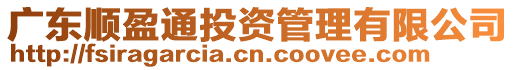 廣東順盈通投資管理有限公司