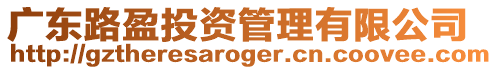 廣東路盈投資管理有限公司