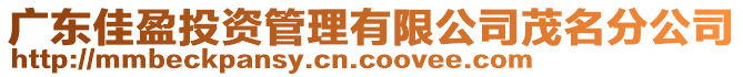 廣東佳盈投資管理有限公司茂名分公司