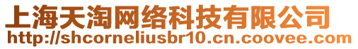 上海天淘網(wǎng)絡(luò)科技有限公司