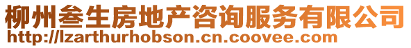 柳州叁生房地產(chǎn)咨詢服務(wù)有限公司