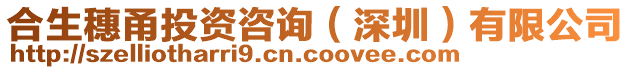 合生穗甬投資咨詢（深圳）有限公司