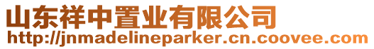 山東祥中置業有限公司