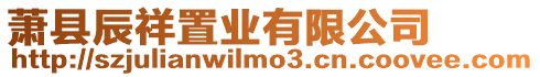 蕭縣辰祥置業有限公司