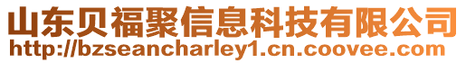 山東貝福聚信息科技有限公司