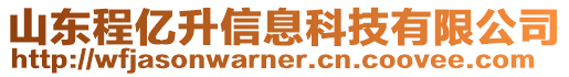 山東程億升信息科技有限公司